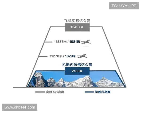 中型客机在高原航线的动力衰减分析