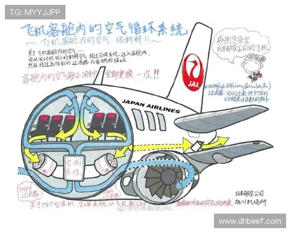 飞机客舱通风系统的过滤网更换周期